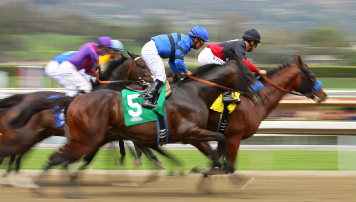 Preakness Stakes 2021: Post Positions & Betting Odds