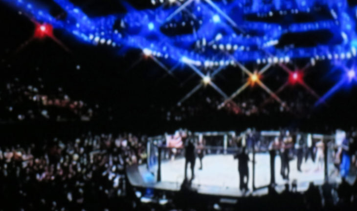 New MMA League – Structured Like NFL/NBA – Eyeing 2023 Launch
