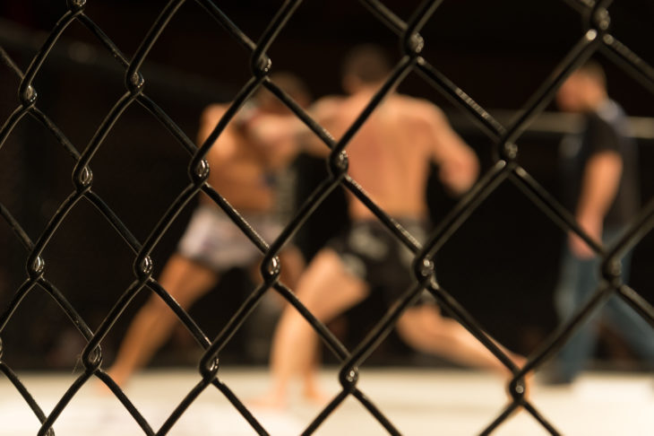 UFC Vegas 58 Fighters You Should Know: Brundage, Zahabi, & Shevchenko (VIDEO)