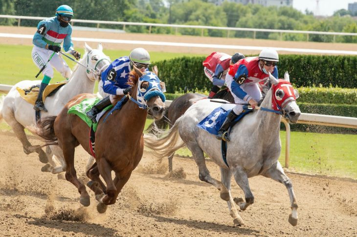 Here’s Everything Breeder’s Cup 2022 Bettors Need to Know to Secure Their Win