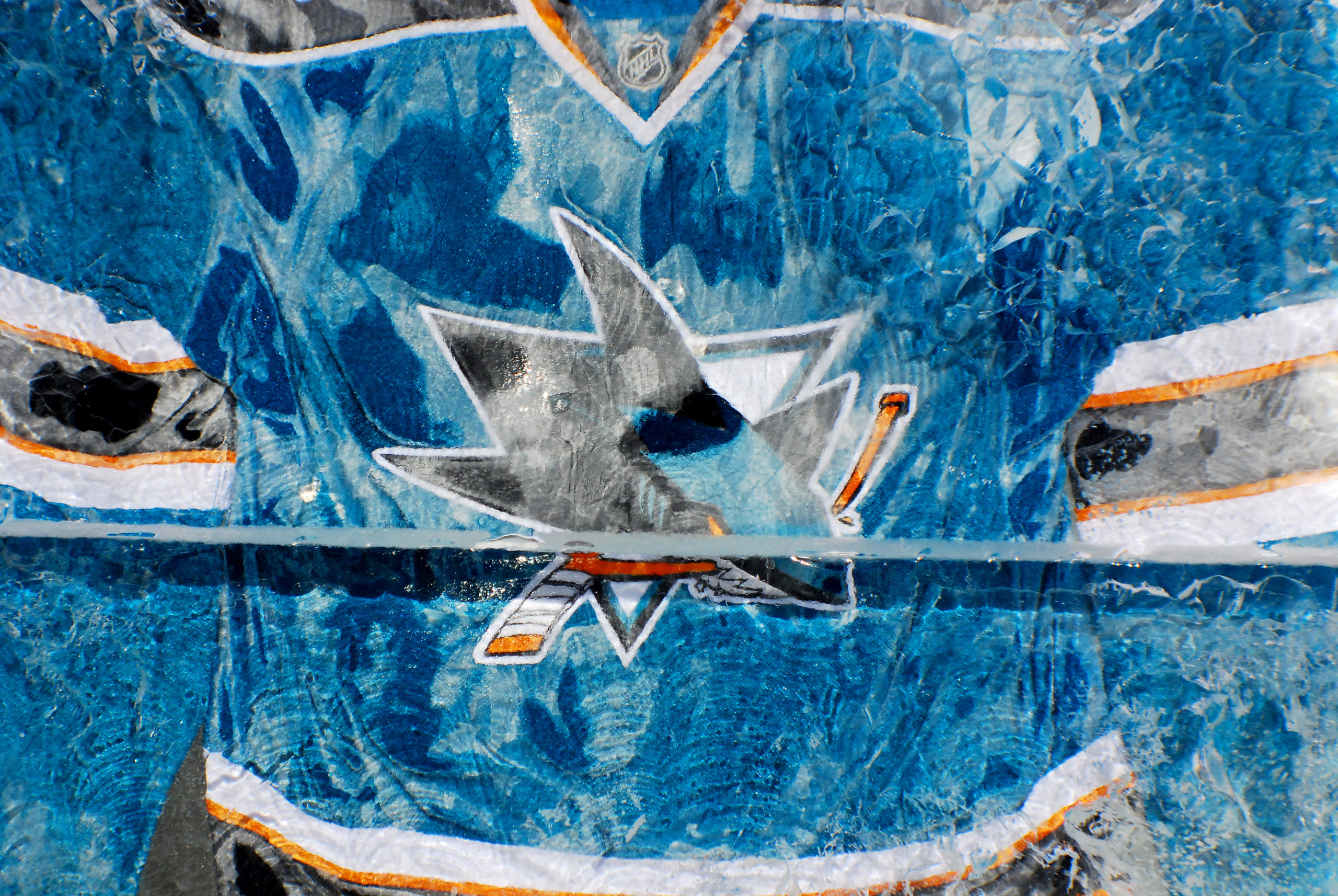 San Jose Sharks Assistant Coach Takes Puck To The Dome (VIDEO)