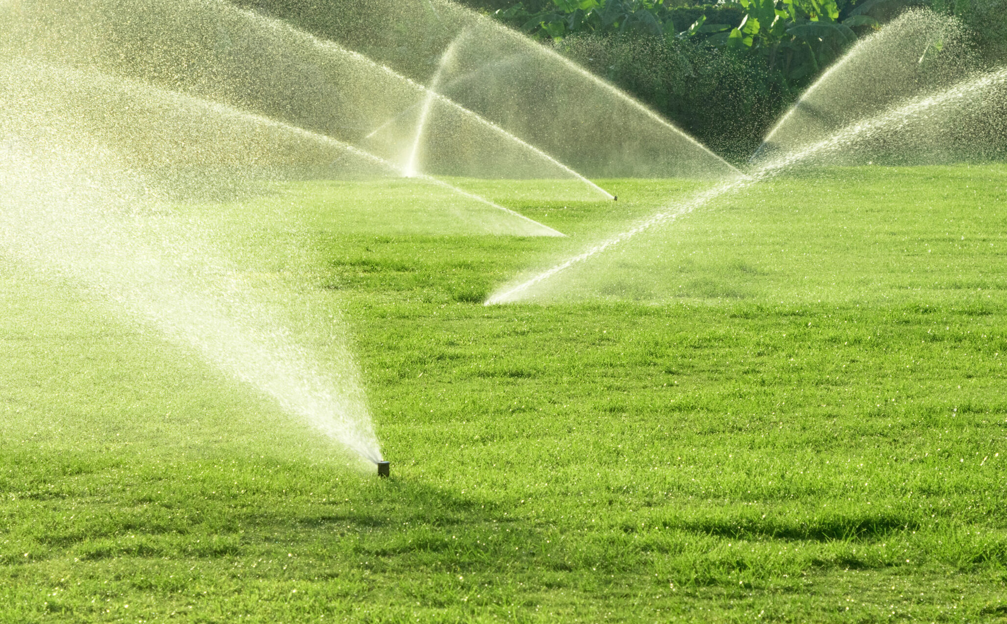 LOOK: Sprinkler System Delays Marlins-New York Mets Spring Training Game