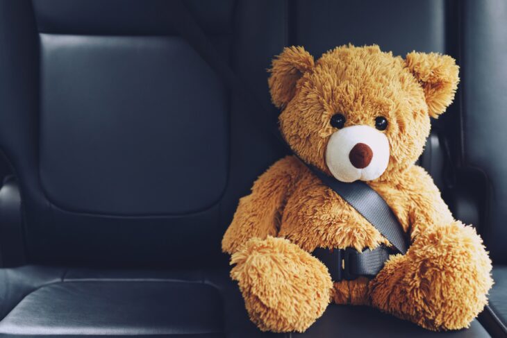 Man In ‘Rocking Car’ Arrested For Having Sex With Stuffed Animal; Possession Of Meth